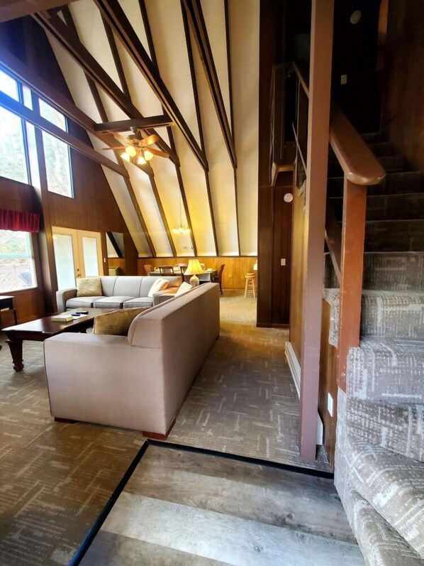 TV, fireplace, books