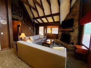 TV, fireplace, books