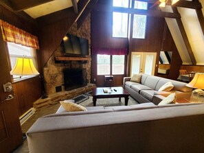 TV, fireplace, books