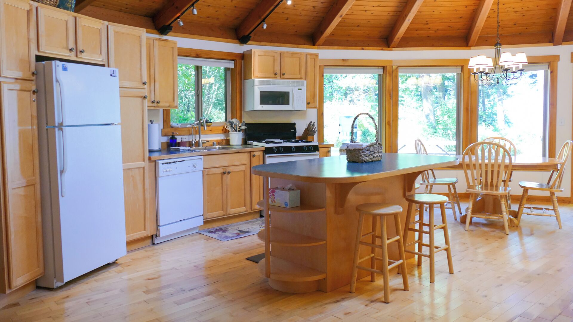 Microwave, oven, stovetop, dishwasher