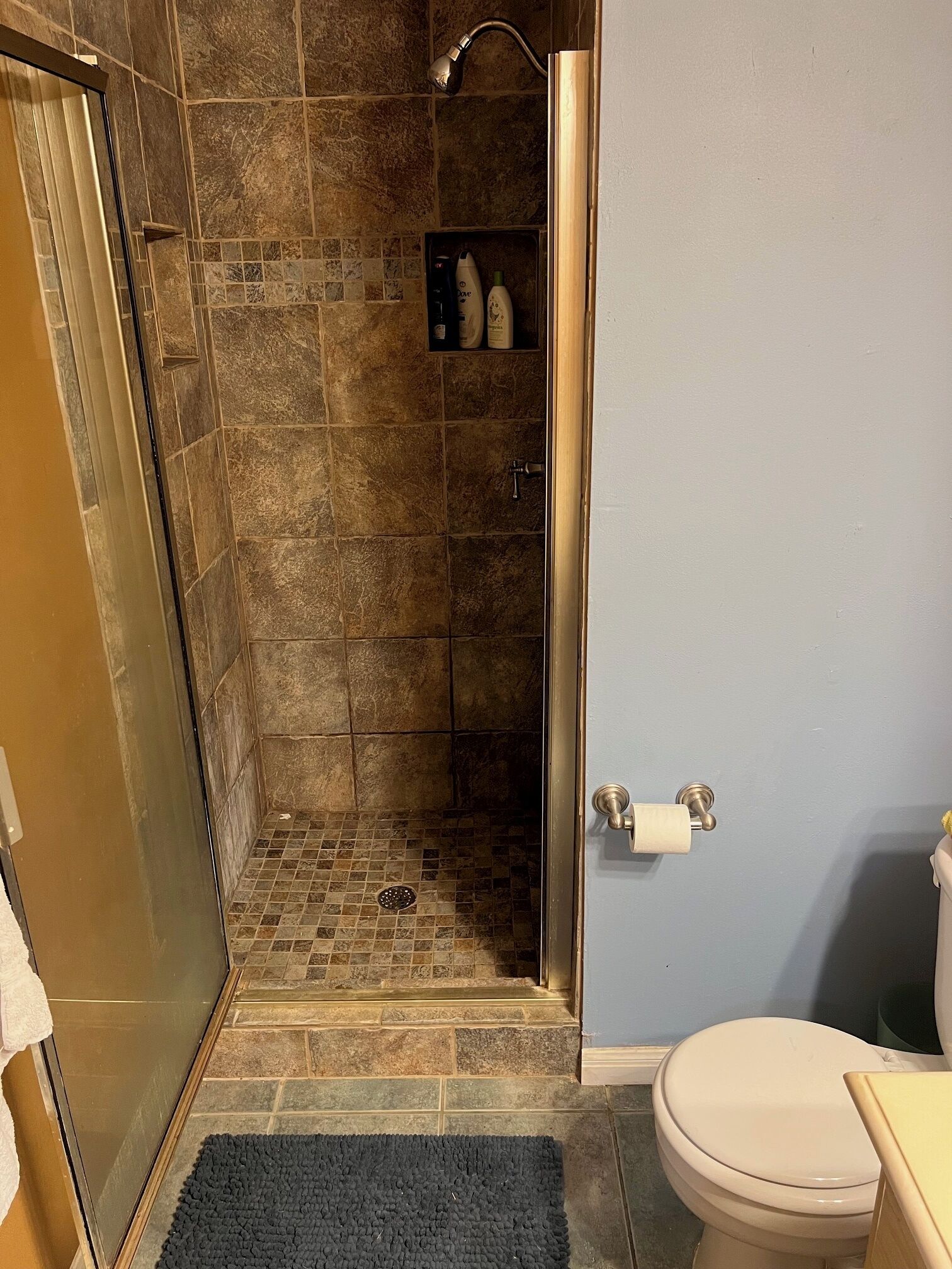 Dusche, Handtücher, Toilettenpapier