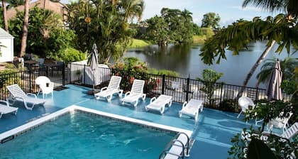 Poolside King Studio