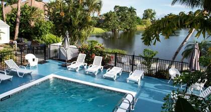 ADA Poolside King Studio
