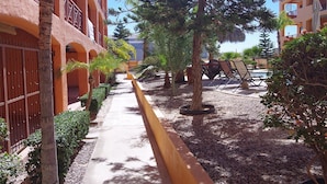 Un pati amb un camí empedrat, palmeres i seients de relaxació.