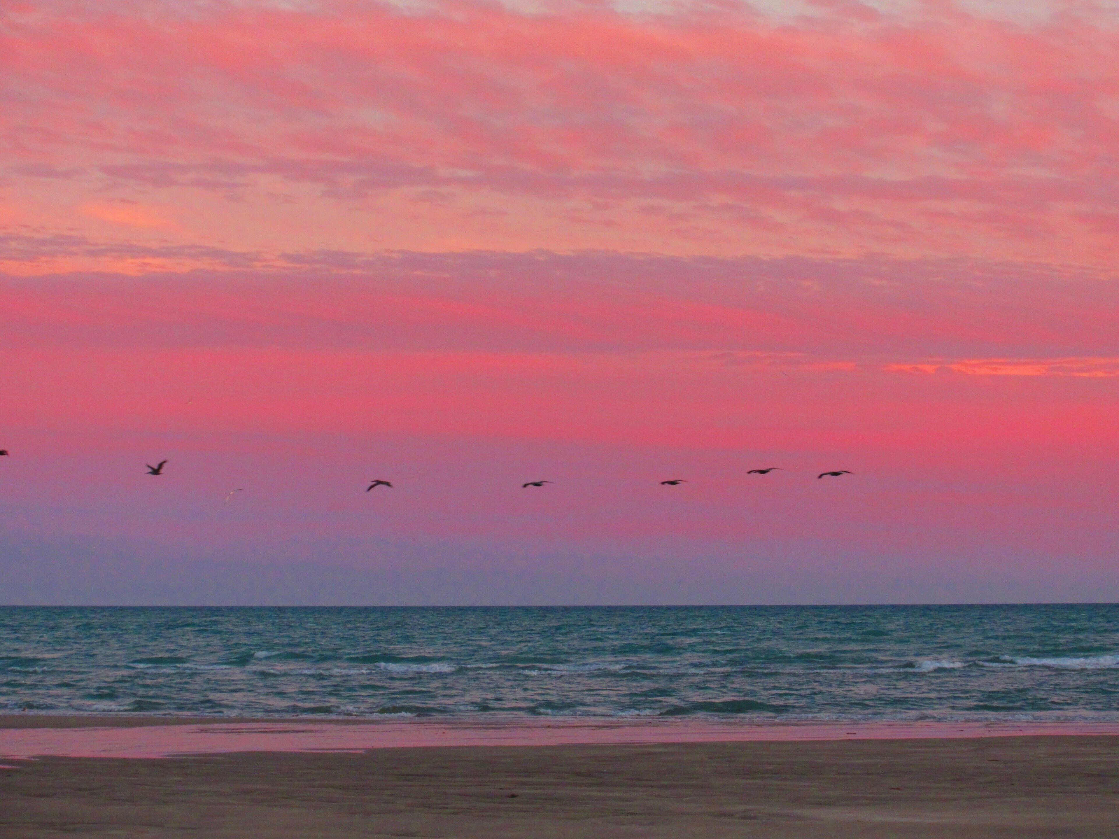 A beach with a pink sky and birds flying.