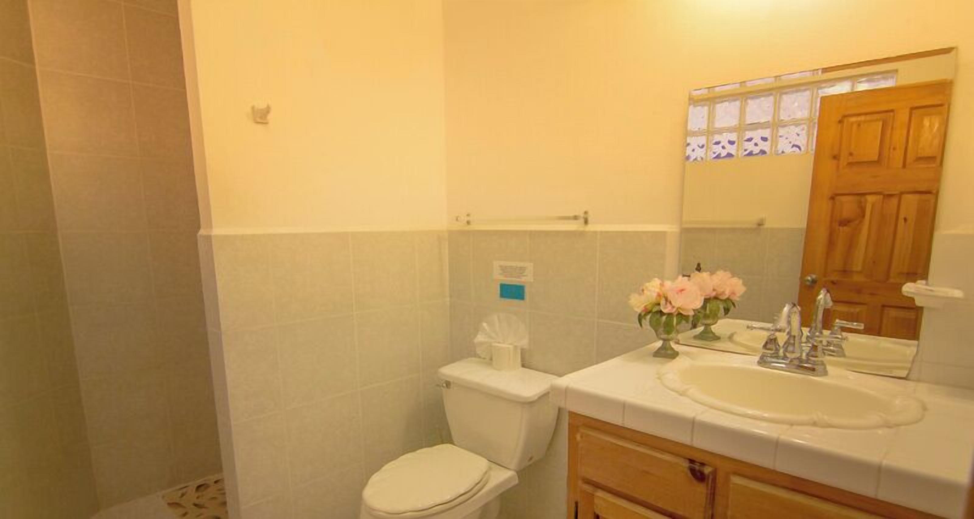 A bathroom with a toilet, sink, and mirror.
