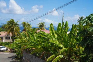 A residential street with banana trees, a white car, and houses with red roofs.