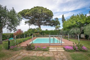 A swimming pool with a wooden deck, surrounded by a garden with various plants and flowers.