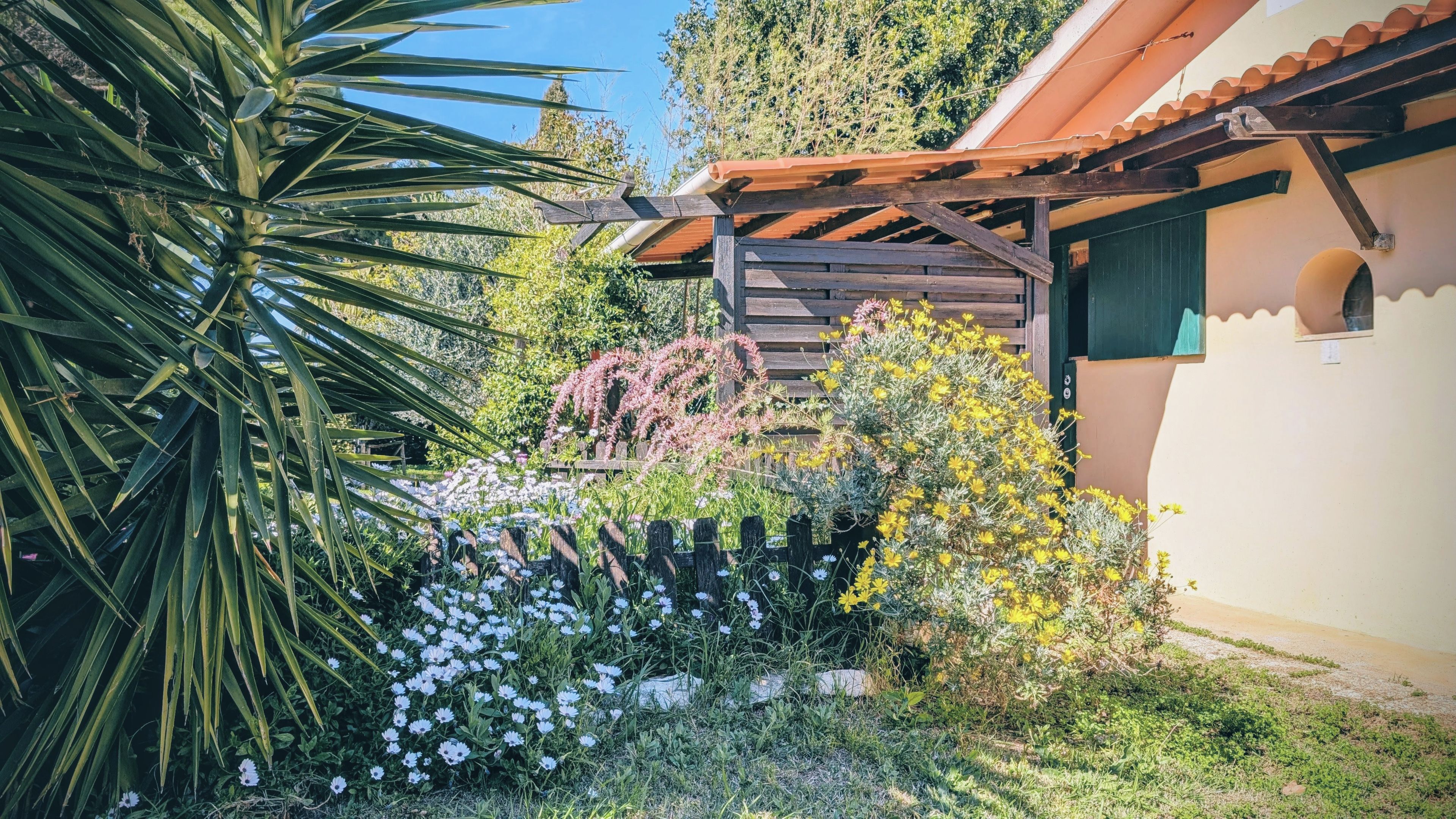 Un jardin agrémenté de diverses plantes et fleurs, une pergola en bois et un bâtiment doté d’un toit en tuiles.