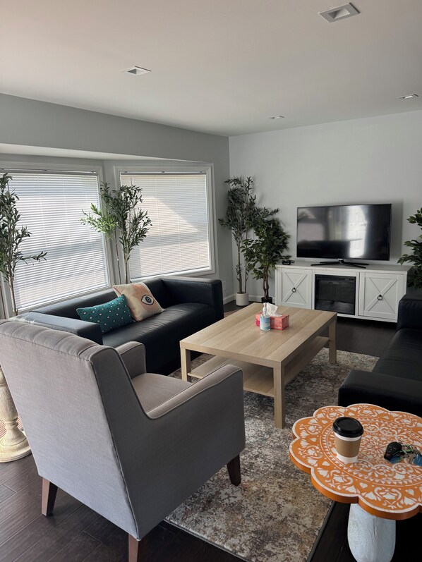 TV, fireplace