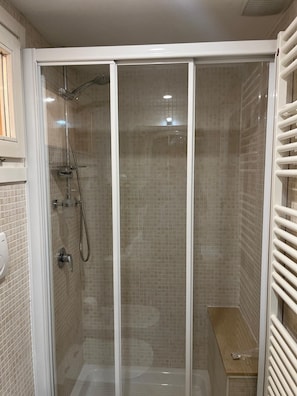 Shower, hair dryer, bidet, towels