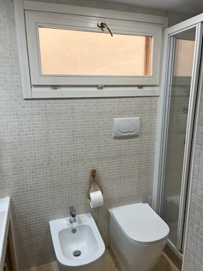 Shower, hair dryer, bidet, towels