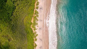 Luftaufnahme eines Strandes mit dichter Vegetation an einer Seite und einem sandigen Ufer mit Wellen.