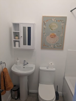 Hair dryer, towels, soap, toilet paper