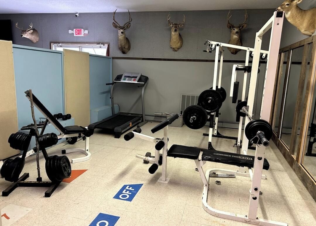 A gym with weightlifting equipment, treadmills, and deer head decorations on the wall.