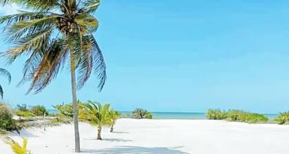 LAMAU-Beachfront House, San Crisanto, Yuc.