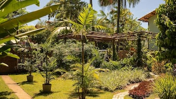 Área da propriedade