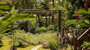 Un jardín con un pérgola de madera, diversas plantas tropicales y un sendero pavimentado.