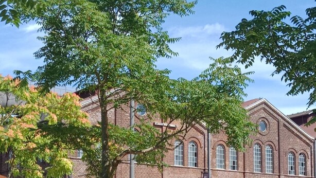 Un bâtiment en briques doté de grandes fenêtres et d’un arbre devant.