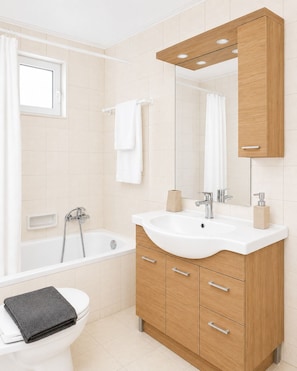 Hair dryer, towels, soap, toilet paper