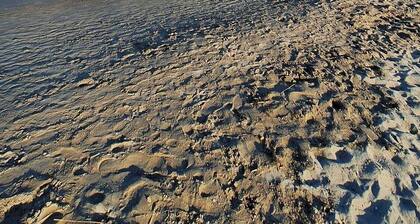 Iris apartment with sea view a stone's throw from the beach and downtown