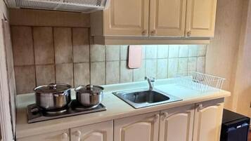 标准公寓, 私人浴室, 城市景观 | 私人厨房 | 炉灶