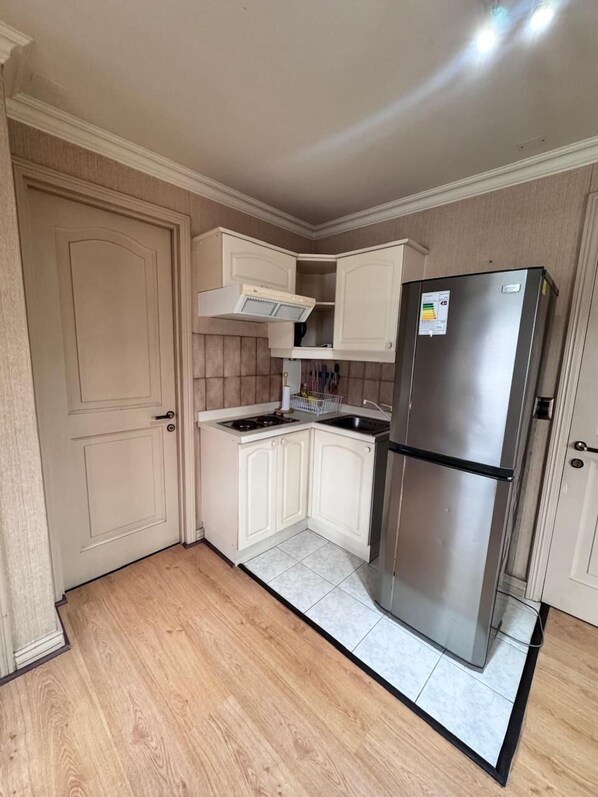 Family Apartment, 1 Queen Bed with Sofa bed, Pets allowed, City View | Private kitchen | Stovetop