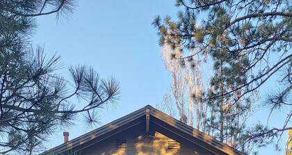 Lovely 2-bedroom cozy cabin in center of Big Bear Lake, close to all attractions