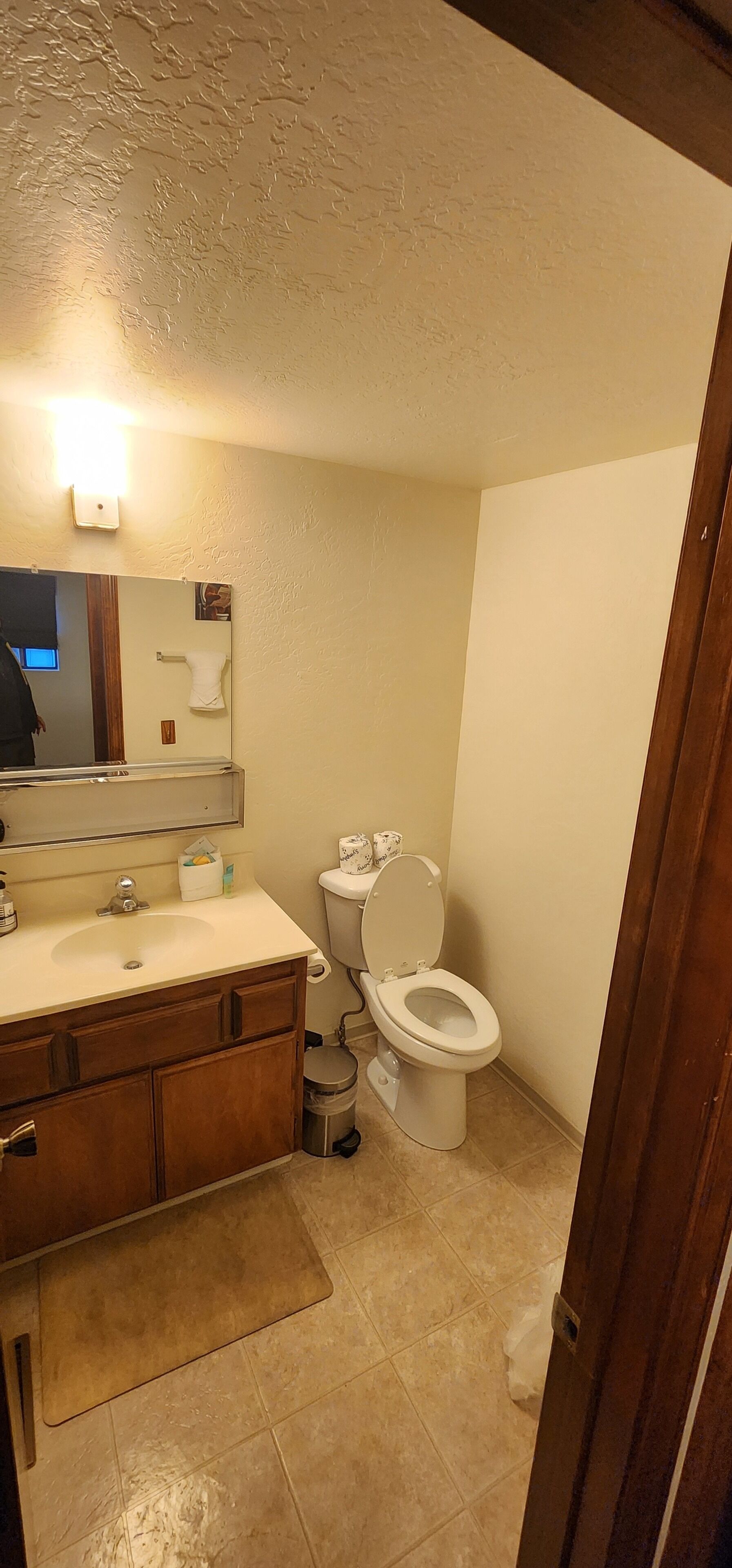 A bathroom with a sink, mirror, toilet, and a small trash bin.