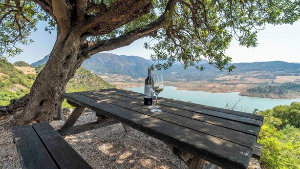 A wooden picnic table with a bottle of wine and a glass, set against a scenic backdrop of a lake and mountains. - Cozy Paradise El Gastor by Ruralidays (Cádiz)
