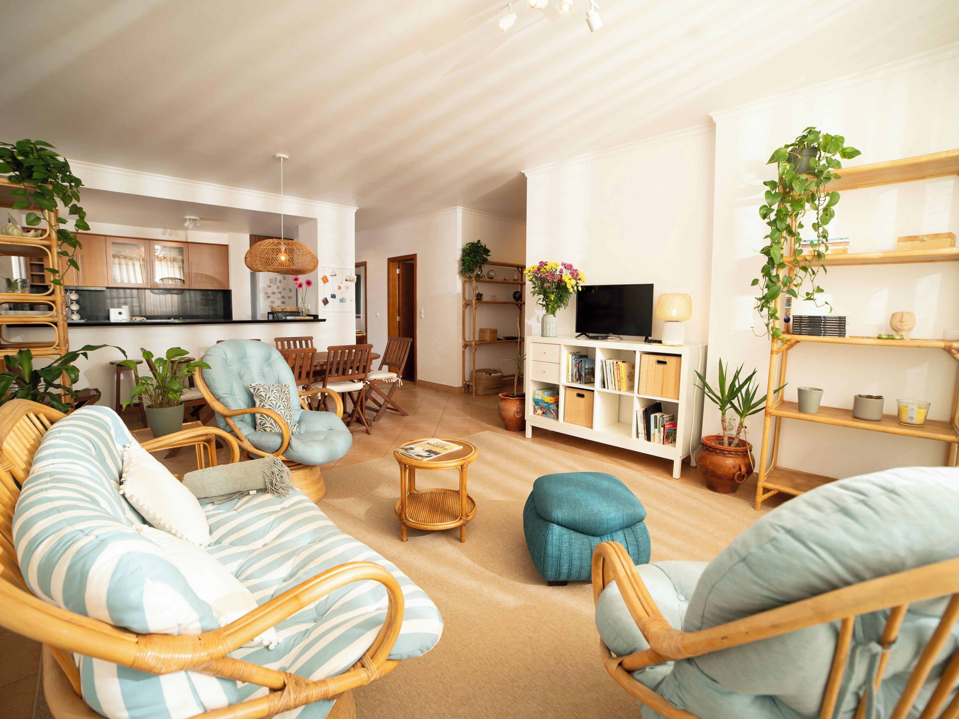 TV, books, stereo