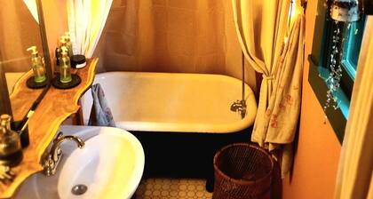 Birdwatchers Nook 3-bedroom cottage with AC in charming Bastrop