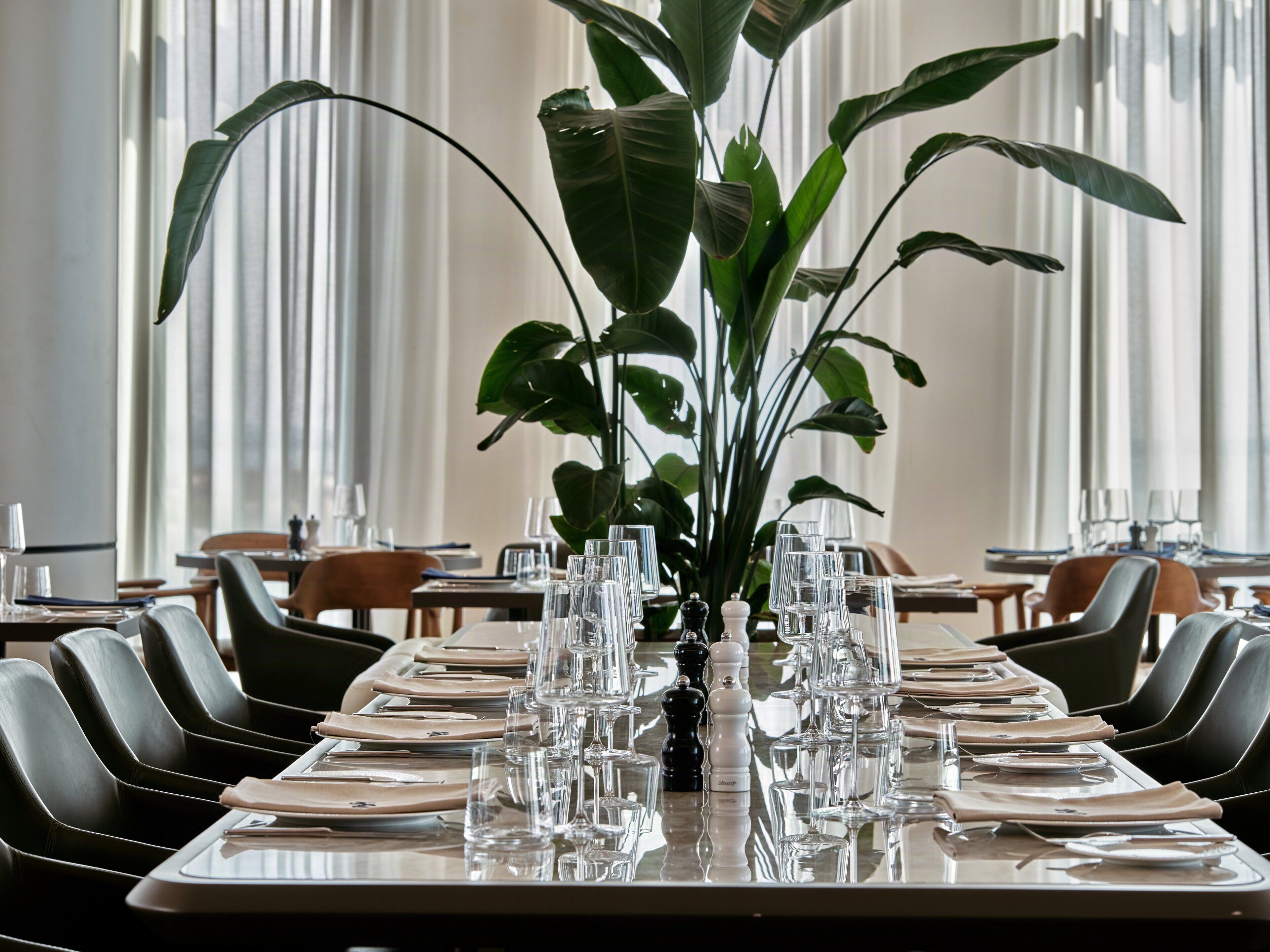 Une table à manger dressée avec de nombreux verres et assiettes, entourée de chaises, avec une grande plante au centre et une fenêtre en arrière-plan.