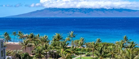 Condo (Multiple Bedrooms) | Front of property