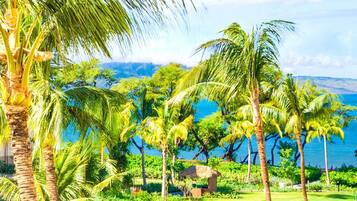 Condo (3 Bedrooms) | View from room