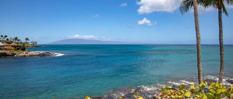 Condo (3 Bedrooms) | Front of property