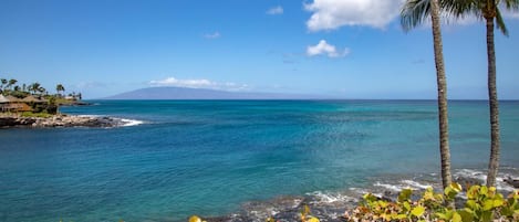 Condo (2 Bedrooms) | Front of property