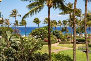 Condo (5 Bedrooms) | View from room