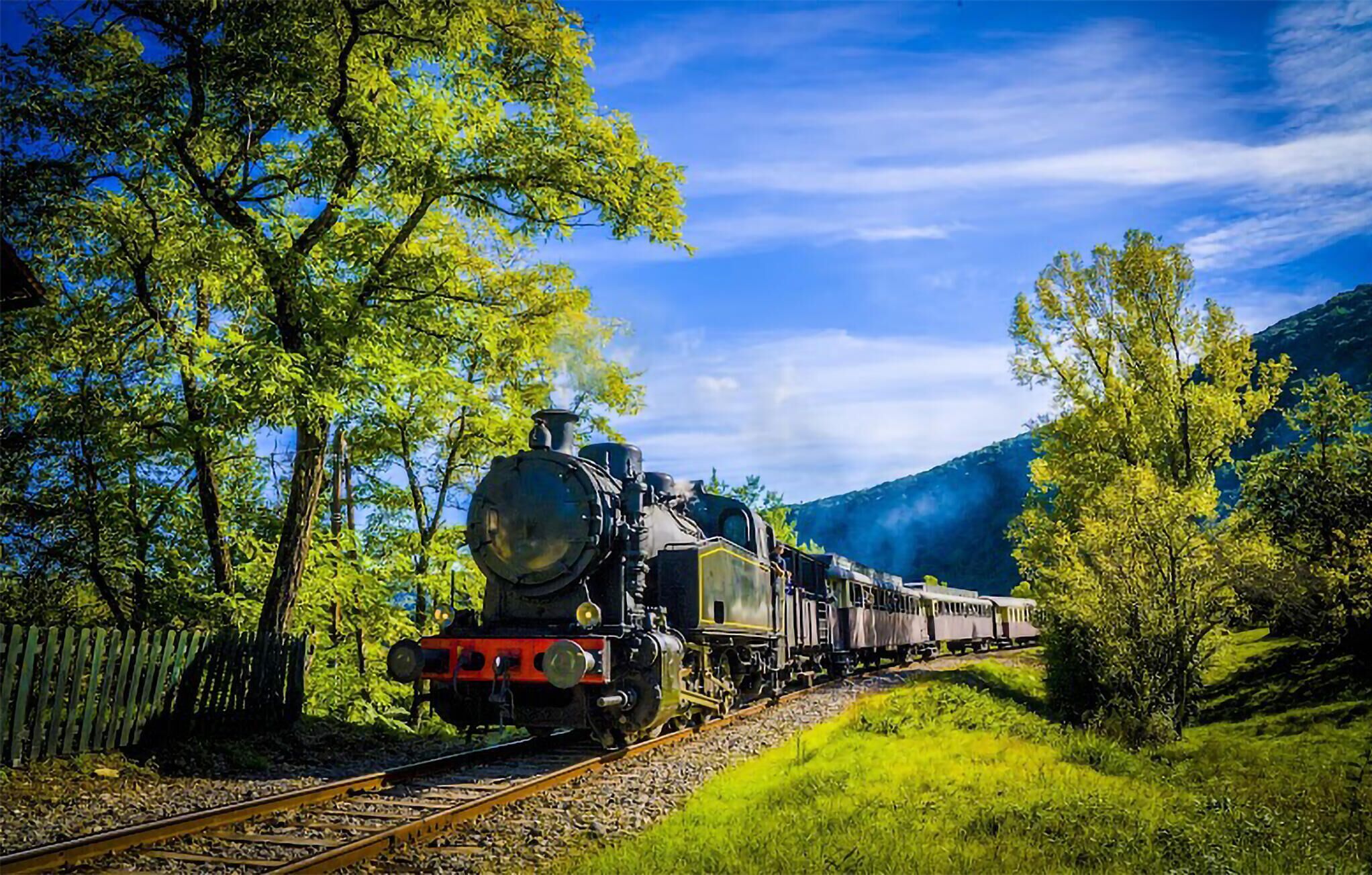 Eine Dampflokomotive zieht Waggons durch eine üppige, grüne Landschaft mit Bergen im Hintergrund.