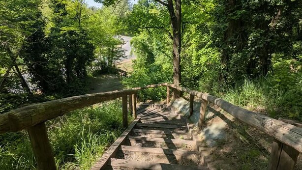 A wooden staircase leading into a forested area with a wooden railing. - 2 bedroom amazing home in Monthenault (Monthenault)