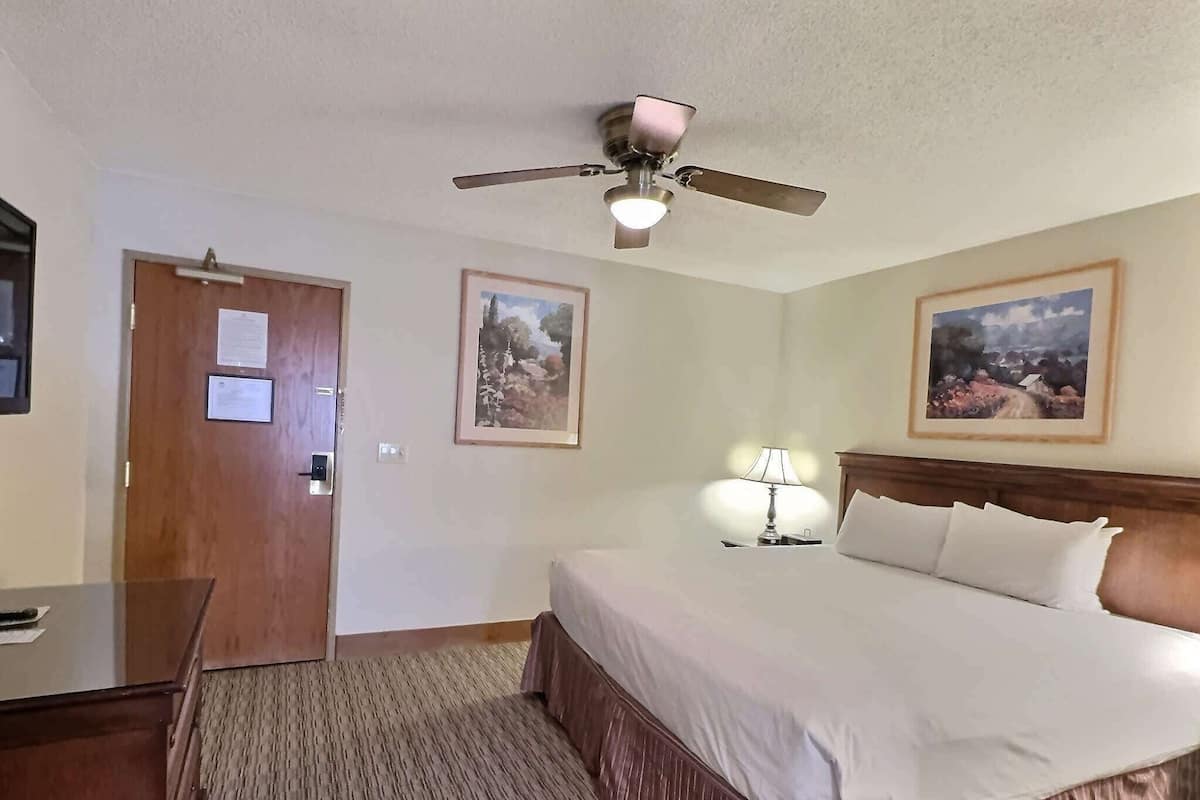 Suite Standard, animaux de compagnie acceptés