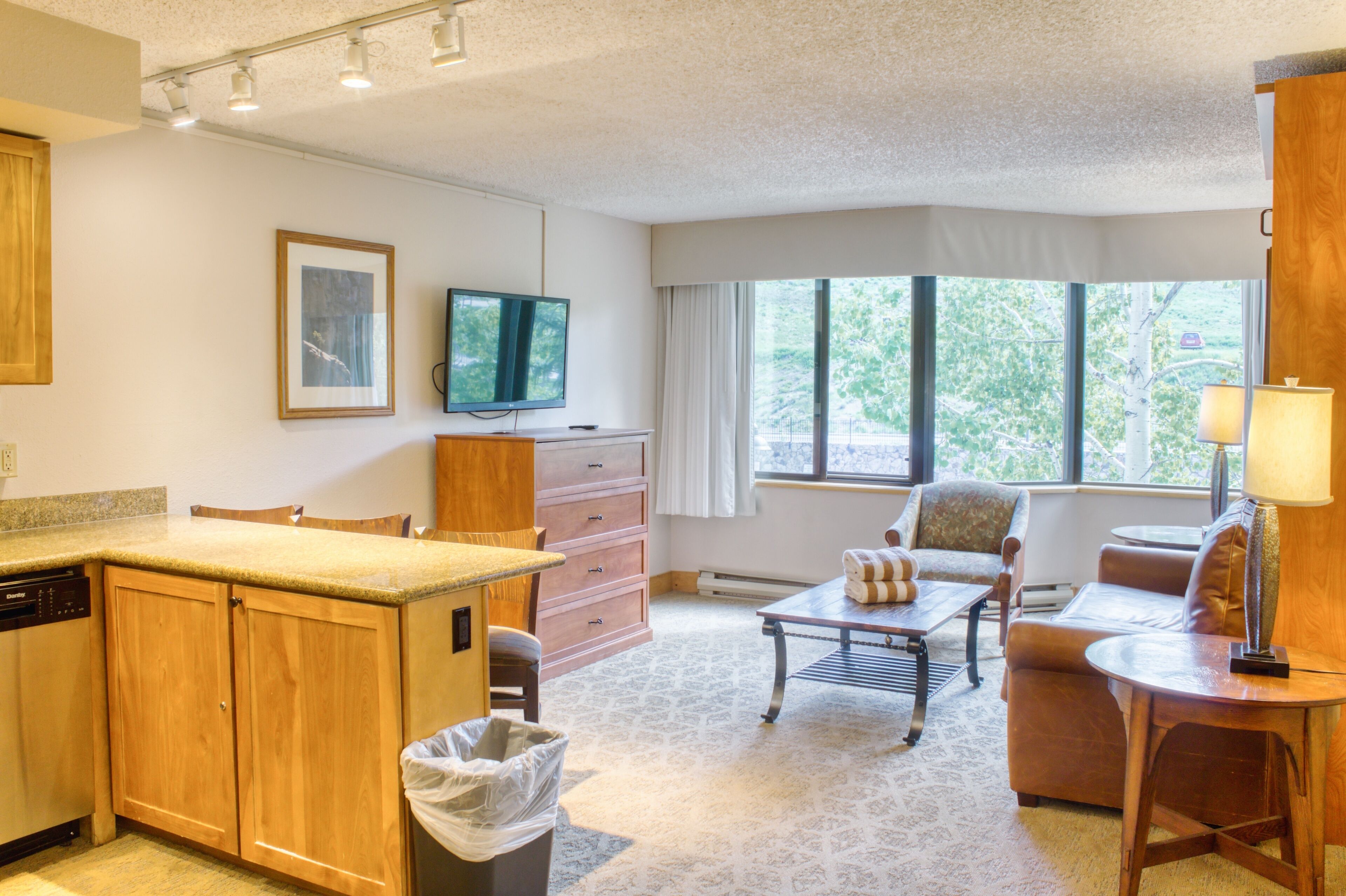 Un espacio habitable compacto con kitchenette, televisión, zona de comedor y ventana con vista a zonas verdes.