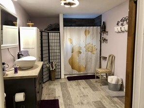 Assecador de cabells, tovalloles, sabó i paper higiènic 