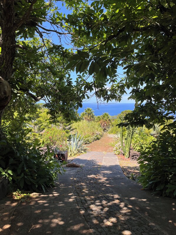 Property grounds - Panoramic Ocean Views from your Private Varand (São Roque do Pico)