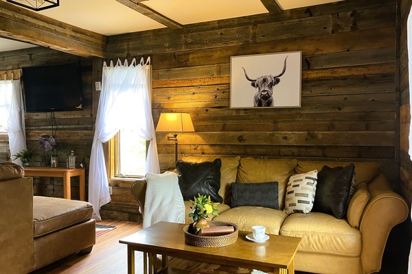 电视、壁炉、书