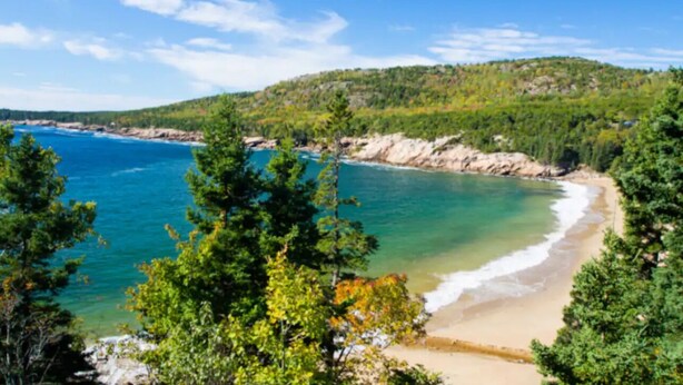 Un paysage côtier avec une plage, une eau d’un bleu limpide et une végétation luxuriante.