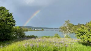Une table de pique-nique installée dans un espace verdoyant, avec vue sur un lac et un arc-en-ciel.