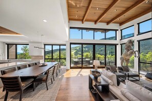 Smart TV, fireplace, stereo, offices