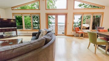 TV connectée, cheminée, jeux vidéo, lecteur de DVD