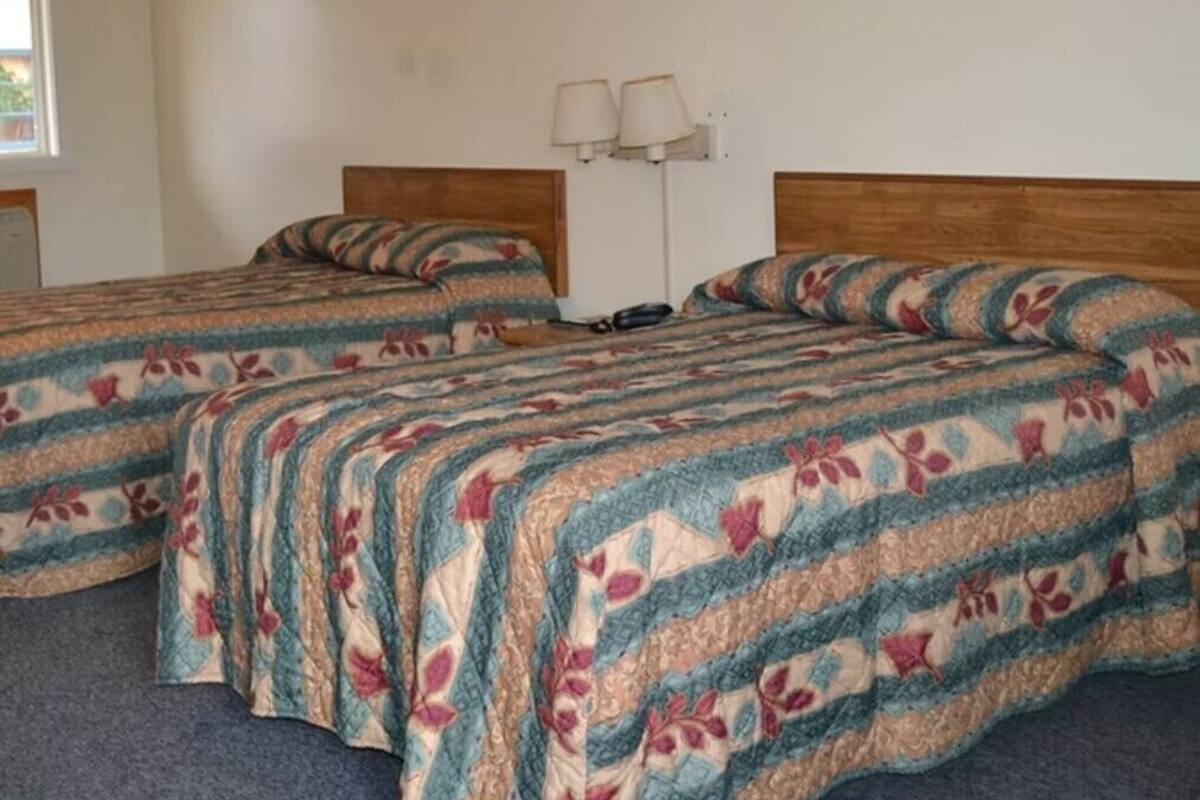 Une chambre avec deux lits, chacun agrémenté de draps à motifs floraux, une table de chevet avec une lampe et une fenêtre avec des rideaux.